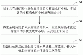 一种滤柱与植物修复联用的重金属污染水体修复方法与流程