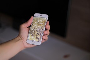 苹果手机贷款借钱不需要审批,深度细说十款网贷还不上后果怎样