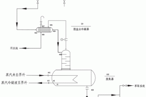 一种用于生产尼龙6的脱盐水除氧装置与工艺的制作方法
