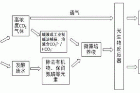 一种利用活性微藻耦合处理发酵排放废气与废水的方法与流程