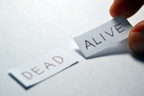 征信查询多负债高哪里还可以贷款？老司机教你找门路！