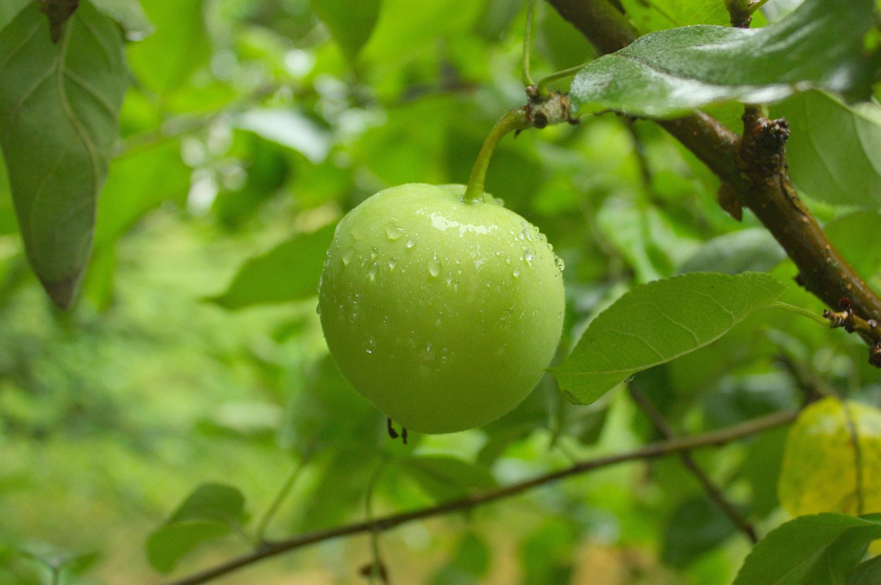 芸豆分10天借5000要还7000元,专业概括十款被强制下款爆通讯录怎么办  第2张